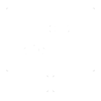 组织碳